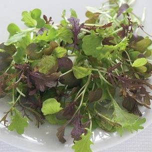 Greens Micro Salad Mix Spicy 5,000 Seeds