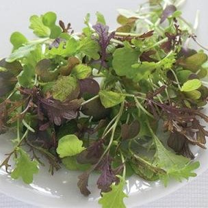 Greens Micro Salad Mix Spicy 5,000 Seeds