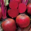 Beets Detroit Supreme 1,000 Seeds view 1