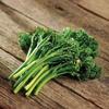 Baby Broccoli Aspabroc 1,000 Seeds view 1
