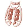 18 Wheels Muscle Roller Massage Roller Foam Roller Manual Deep Tissue Massage Tools Arm Leg Massage Ring Clamp Leg Roller for Tennis Elbow, Pink view 1