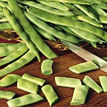 Bean Roma II (Bush) 250 Seeds