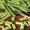 Bean Roma II (Bush) 250 Seeds view 1