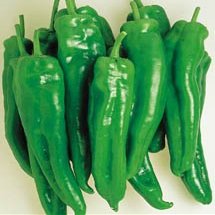 Pepper Spanish Spice 1,000 Seeds