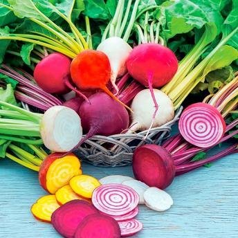 Beets Rainbow Mix 500 Seeds