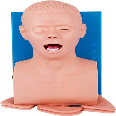 CHROX PVC Adult Intubation Manikin Tracheal Intubation Training Simulator Model with Alarm Science Lab Education with Alarm