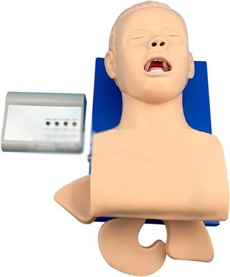 CHROX PVC Adult Intubation Manikin Teaching Model, Airway Management Trainer Tracheal Intubation Training Simulator Model, Science Lab Education
