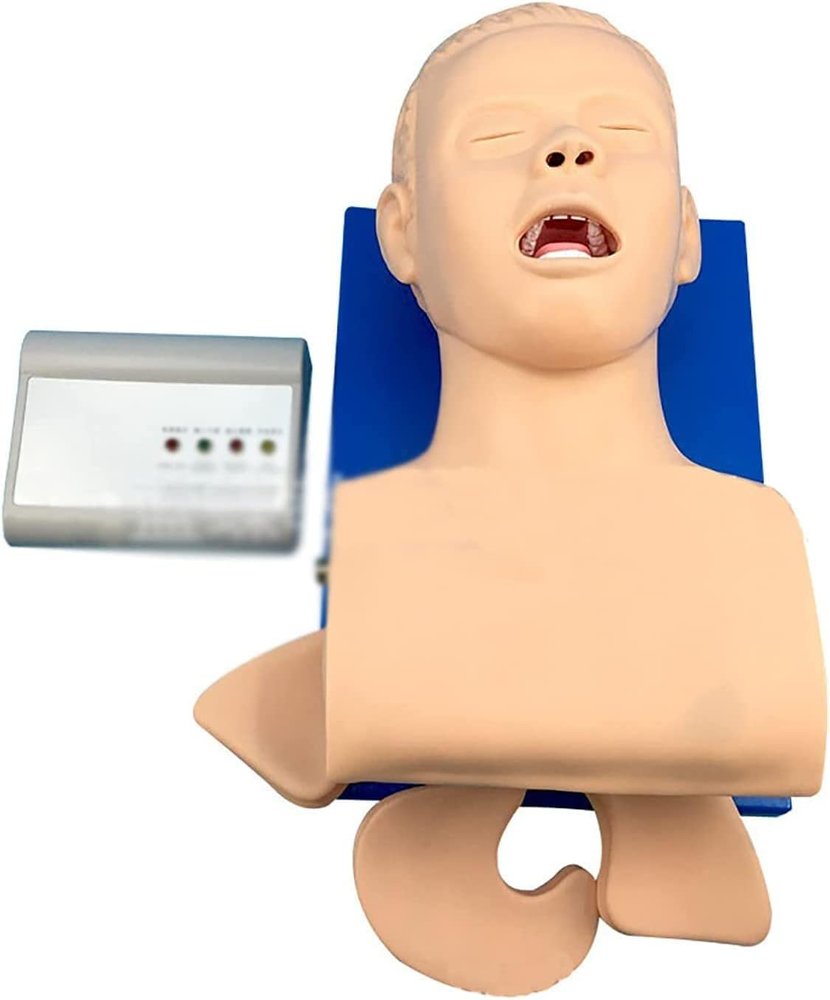 CHROX PVC Adult Intubation Manikin Teaching Model, Airway Management Trainer Tracheal Intubation Training Simulator Model, Science Lab Education
