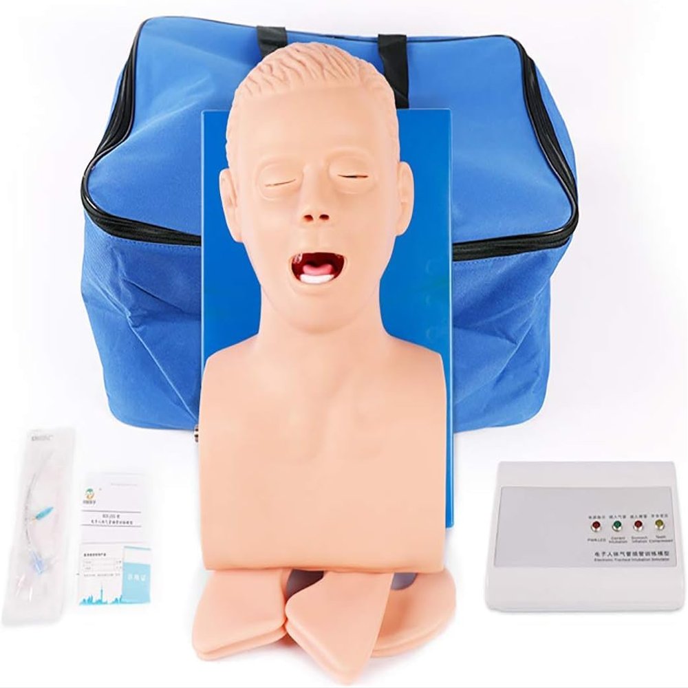 CHROX PVC Adult Intubation Manikin Teaching Model, Airway Management Trainer Tracheal Intubation Training Simulator Model, Science Lab Education