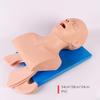 CHROX PVC Adult Intubation Manikin Teaching Model, Airway Management Trainer Tracheal Intubation Training Simulator Model, Science Lab Education view 2