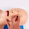 CHROX PVC Adult Intubation Manikin Teaching Model, Airway Management Trainer Tracheal Intubation Training Simulator Model, Science Lab Education view 4