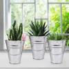 15 Pack 4.5 Inch Mini Metal Buckets, Metal Buckets with Handle, Easter Bucket,Pencil Holder and Flower Pots, Used to Carry, Store, or Even Plant, by GENHAKON. view 4