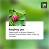 Certified Organic Raspberry Leaf Cut & Sifted, by Herb Co, 100% Natural Kosher Herbal Tea Rich in Vitamins & Minerals for Wellness & Skincare, 1/4 lb view 4