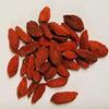 Big Red Dried Goji Berry - Lycium Barbarum - Fructus Lycii - Gogi - Dried Gou Qi Zi, Red Wolfberry (20 Berries) view 2