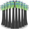 Replacement Toothbrush Heads with Covers for 7am2m AM101/AM105 Electric Toothbrush,10 Pack,Black view 1