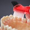 COHEALI Double-Head Denture Toothbrush Portable Small Size Multi-Functional Denture Cleaning Brush with Soft Bristles for Oral Care view 4