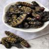 KOPABANA Mbinzo | Dried Edible Caterpillard | Chenille 2 oz view 2