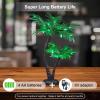 7FT Lighted Palm Tree and 24Inch Palm Tree Bonsai Light for Indoor Outside Tropical Tiki Hawaii Summer Christmas Decoration view 4