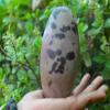 Wonderful Pattern Shiva Lingam Stone from India - Narmadeshwar Narmada River Shiva Genuine Shiva Lingam Stone 4.25" Inch Indian God Idols & Statue Religious Gifts Healing Meditation Stone -I-7043 view 2