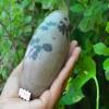 Wonderful Pattern Shiva Lingam Stone from India - Narmadeshwar Narmada River Shiva Genuine Shiva Lingam Stone 4.25" Inch Indian God Idols & Statue Religious Gifts Healing Meditation Stone -I-7043 view 3