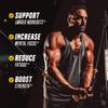 Outwork Nutrition Non-Stim Pre Workout Powder - Citrulline Malate, Beta-Alanine, Rhodiola Extract for Performance, Focus & Energy Boost - Preworkout for Men, Women (Caffeine Free, Pia Colada) view 2