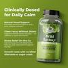 100% Natural Wild Lettuce Gummies  Tropical Berry  Premium Quality, Herbal Relaxation Support, Non-GMO, Gluten-Free & Vegan, Herbal Supplement for Natural Calm & Relaxation  30 Count view 4