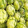 Artichoke 20 Seeds for Planting Non-GMO view 4