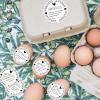 AnyDesign 500pcs Farm Fresh Eggs Stickers 2 Inch Farmers Market Packaging Stickers Wheat Ear Unwashed Eggs Writable Label Decal for Business Farm Fresh Produce Egg Cartoon Labeling view 4