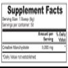 Alphamigos Creatine view 2
