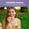 Missy J's Organic Carob Covered Raisins 8 Oz 3 Pack, Vegan Gluten Free, Substitute for Chocolate, Perfect for Snacks and Treats view 4