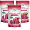 CHAVI Dragon Fruit Chips - Pack of 3 x 2 Oz - Healthy 1 Ingredient Superfood Snack - No Added Sugars or Preservatives - Non-GMO, Vegan, Gluten-Free (Pack of 3) view 1