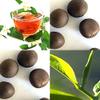 Camellia sinensis (Tea, Tea Plant, Tea Camellia) Seed, Grow your own green tea, black tea, oolong tea, and white tea, You Choose Size (100 Seed) view 1