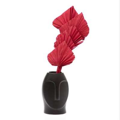 Decorative Dried Palm Spears l Dried Palm Leaves l Natural Palm Fan Dried Flowers Arrangement for Home Decor (15-25in Tall, 5 Branches per Bunch) (Red)