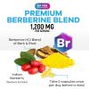 Berberine HCL Supplement 1200mg - High Absorption HCL, Extra Strength Berberine Supplement for Advanced Heart Health & Daily Immune Support, Sugar Free, Vegan, Bottled in USA - 60 Veggie Capsules view 3