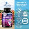 Berberine HCL Supplement 1200mg - High Absorption HCL, Extra Strength Berberine Supplement for Advanced Heart Health & Daily Immune Support, Sugar Free, Vegan, Bottled in USA - 60 Veggie Capsules view 4