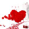 CPAPS Wedding Rose Petals view 2