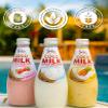 Savia - Coconut Milk Drink, Quality Coconut-Based Beverage, Made with Real Coconut Pulp & Natural, Delicious & Refreshing, Vegetarian, Gluten-Free(9.8oz, 12-Pack) (Pineapple) view 3
