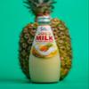 Savia - Coconut Milk Drink, Quality Coconut-Based Beverage, Made with Real Coconut Pulp & Natural, Delicious & Refreshing, Vegetarian, Gluten-Free(9.8oz, 12-Pack) (Pineapple) view 4