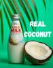 Savia - Coconut Milk Drink, Quality Coconut-Based Beverage, Made with Real Coconut Pulp & Natural, Delicious & Refreshing, Vegetarian, Gluten-Free(9.8oz, 12-Pack) (Original) view 2