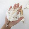 ASMEIR Wedding Decoration Natural Dried Flowers Bride Bouquet Hand-held Dried Flowers Bridesmaid Bouquet (Color : 12-15CM-01) view 1