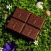 Alice Mushrooms Nightcap + Brainstorm Duo | Functional Mushroom Chocolates | Brainstorm Energy Bites for Focus, Clarity & Cognitive Function | Nightcap Supports Deep Sleep, Calm Mind, Stress Relief view 4