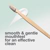 Davids Premium Bamboo Soft Bristle Toothbrush - 3 Pack | BPA Free, Eco-Friendly, Sustainable High Performance Bristles to Improve Oral Health Naturally | 100% Natural Bamboo Handle | Made in Germany view 4