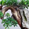 Artificial Trees Artificial Podocarpus Bonsai Ceramic Monk Realistic Green Leaves Chinese Creative Bonsai Decorative Ornaments for Living Room and Office Simulated Pine view 4