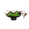 MACIUM Simulation Potted Plants Bonsai Tree Simulation Moss Green Plant Chinese Bonsai Flower Tea Table Tea Room Decoration Moss Green Plant Bonsai Flower Art Fake Plant Greenery Decor for Desk view 1
