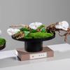 MACIUM Simulation Potted Plants Bonsai Tree Simulation Moss Green Plant Chinese Bonsai Flower Tea Table Tea Room Decoration Moss Green Plant Bonsai Flower Art Fake Plant Greenery Decor for Desk view 3