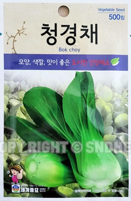 Bok Choy Plant Seeds Korean, 1 Pack, 4 Grams ()