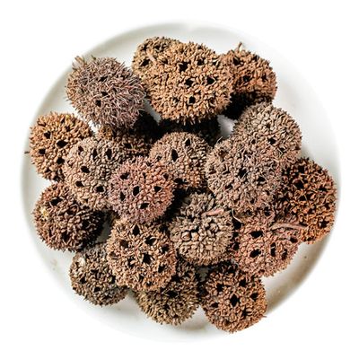 1000 Grams Natural Organic Herbal Supplements Fructus Liquidambaris,Sweetgum Fruit,Lulutong,FRUCTUS LIQUIDAMBARIS.
