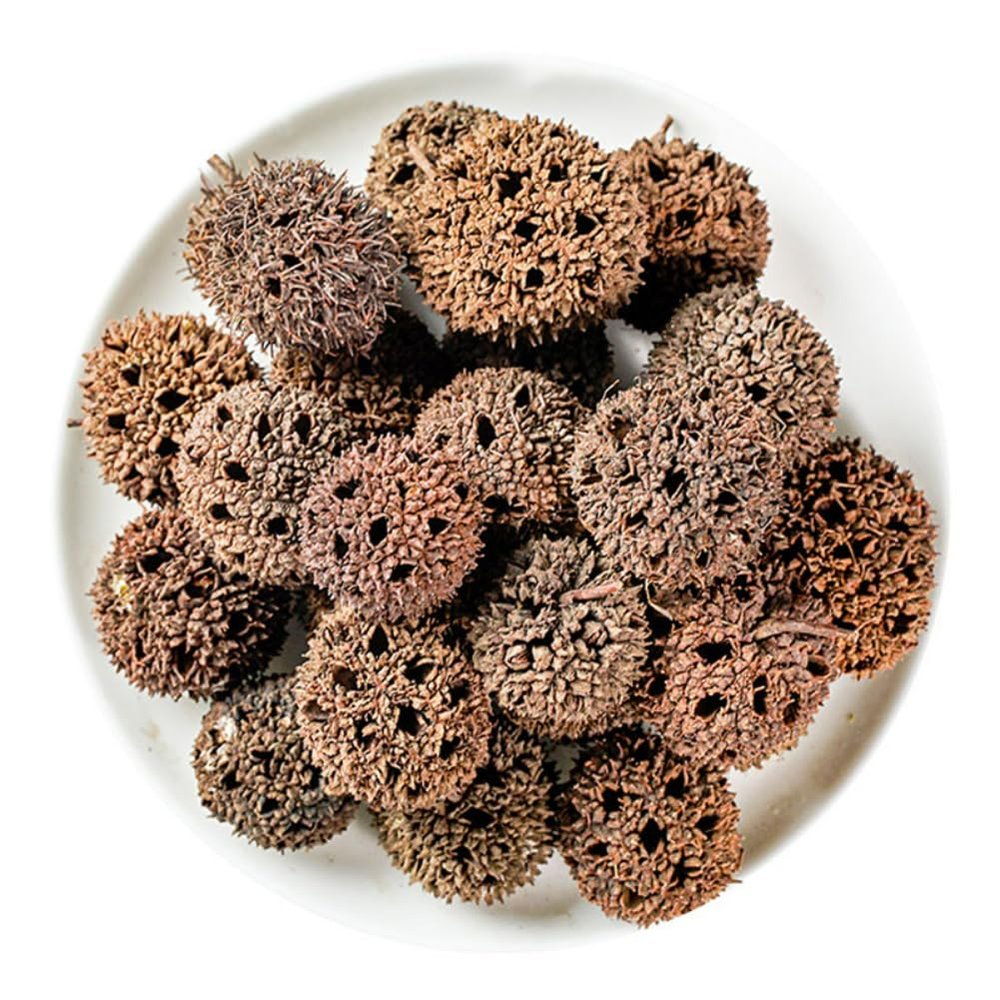 1000 Grams Natural Organic Herbal Supplements Fructus Liquidambaris,Sweetgum Fruit,Lulutong,FRUCTUS LIQUIDAMBARIS.