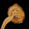 1000 Grams Natural Organic Herbal Supplements Rhei Radix et Rhizoma Chinese Rhubarb Dahuang. view 3