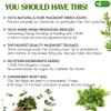 FreshDrinkUS, Premium 60 Mugwort Leaf Tea Bags, 100% Natural and Pure Mugwort Leaves. No Sugar, No Caffeine, No Gluten, Vegan. view 3